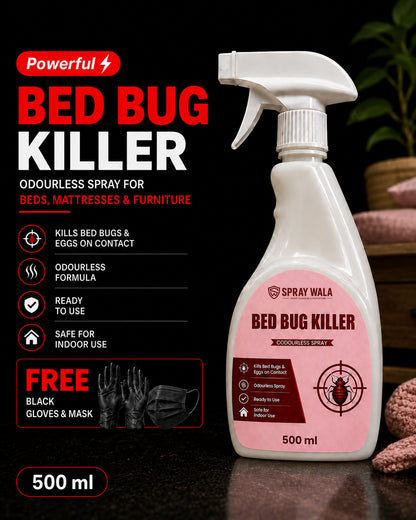 Bed Bug Killer Spray 500ml – Odorless, Fast-Acting Formula | SPRAYWALA