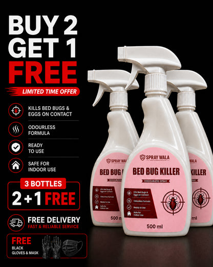 Bed Bug Killer Spray 500ml – Odorless, Fast-Acting Formula | SPRAYWALA