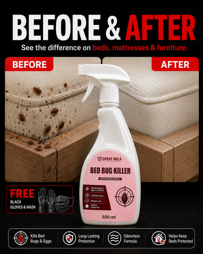 Bed Bug Killer Spray 500ml – Odorless, Fast-Acting Formula | SPRAYWALA