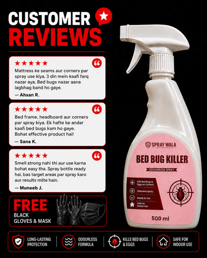 Bed Bug Killer Spray 500ml – Odorless, Fast-Acting Formula | SPRAYWALA