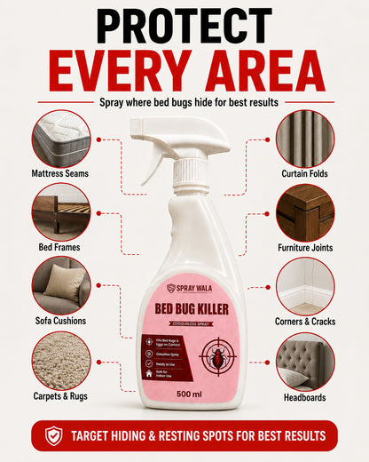 Bed Bug Killer Spray 500ml – Odorless, Fast-Acting Formula | SPRAYWALA
