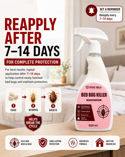Bed Bug Killer Spray 500ml – Odorless, Fast-Acting Formula | SPRAYWALA