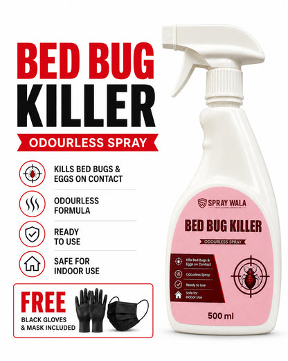 Bed Bug Killer Spray 500ml – Odorless, Fast-Acting Formula | SPRAYWALA